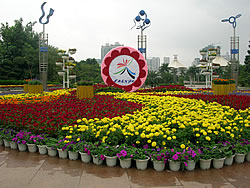 Nanning zeigt sich mit vielen Blumen